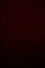 Bild 0